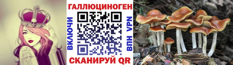 Галлюциногенные грибы Cubensis omg вход Приморско-Ахтарск где продают
